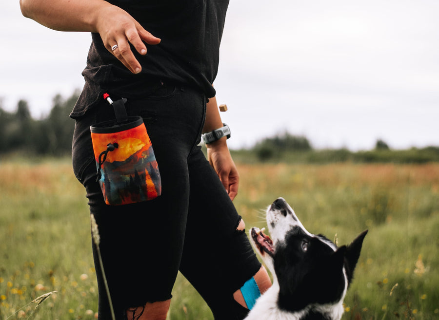 Dog Training Treat Pouch Collection