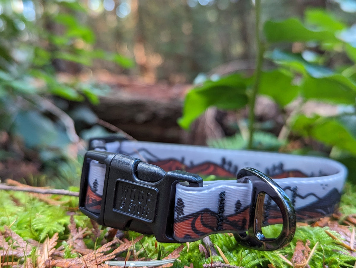 Durable Waterproof Dog Collars Collection