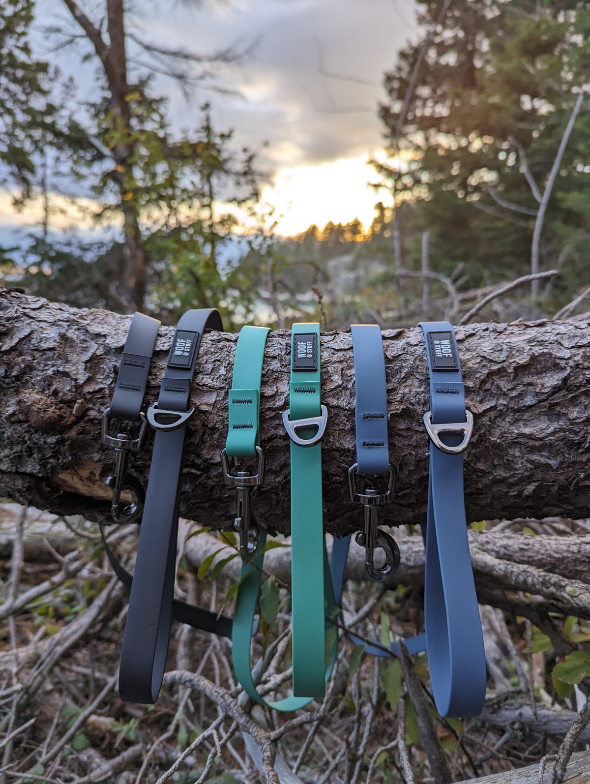 Long Lines: Ultimate Training Leashes Collection